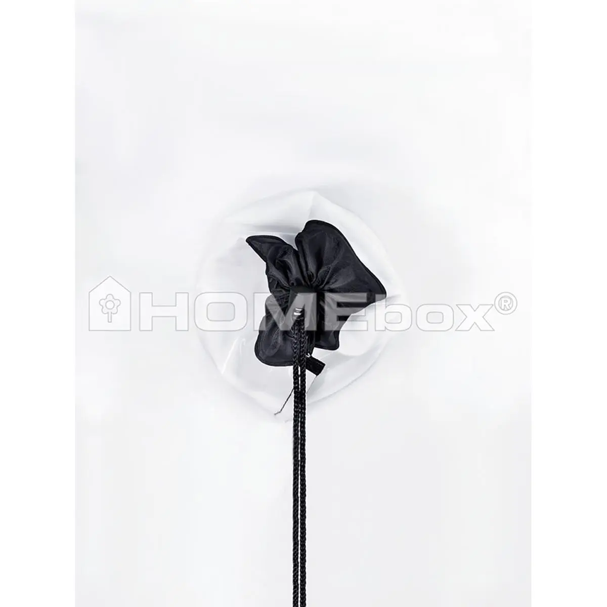 HOMEbox Ambient Q100