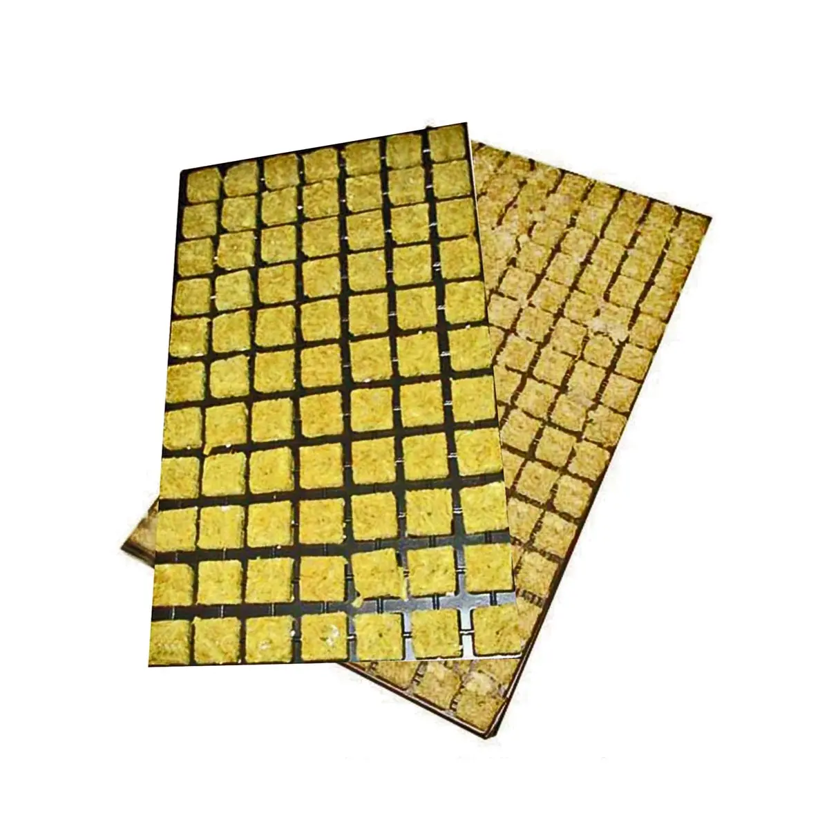 Grodan plateau pour boutures 