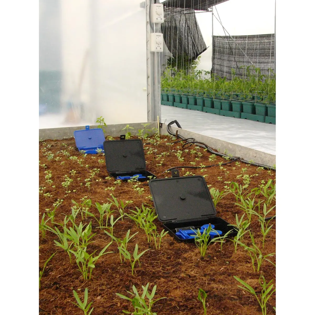 AQUAbox Straight Kit