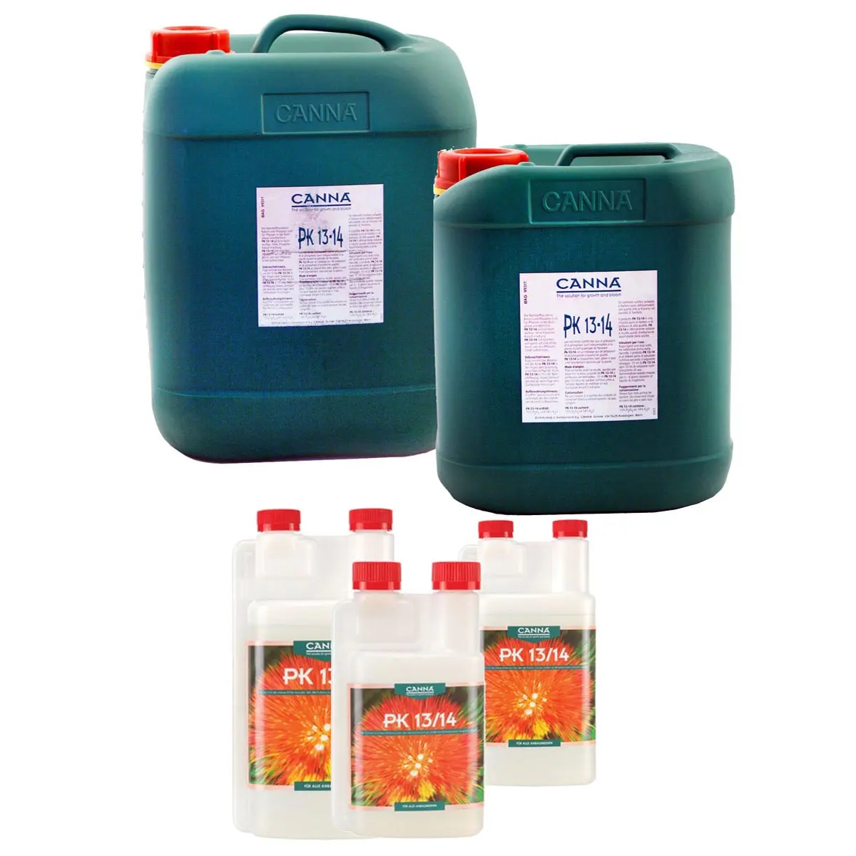 Canna PK 13-14 phosphore-potasse