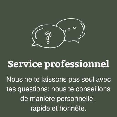 Service professionnel