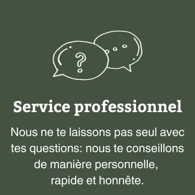 Service professionnel