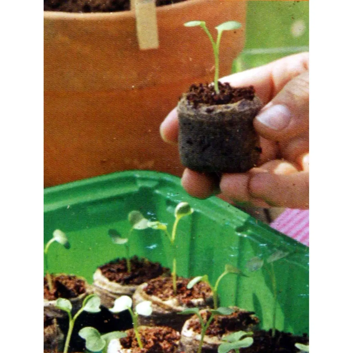 20 Pastilles de coco, Ø 3,6 cm