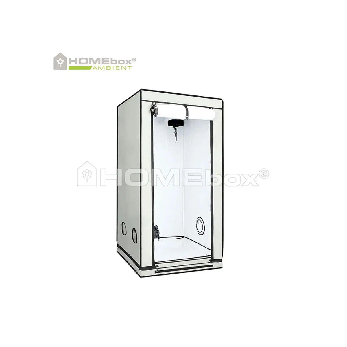 HOMEbox Ambient Q80+