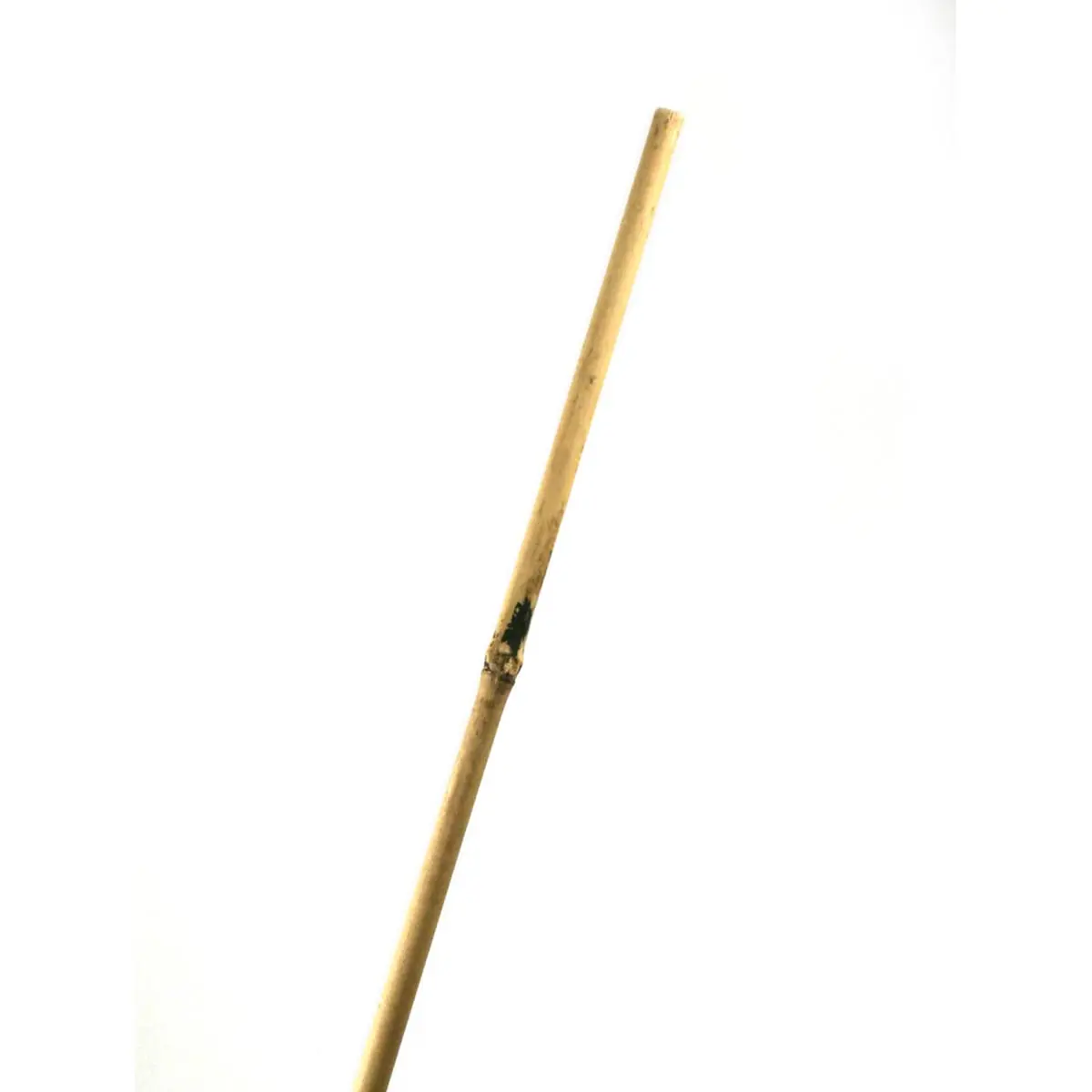 Tige de Bamboo Tonkin 60cm