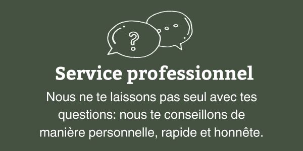 Service professionnel