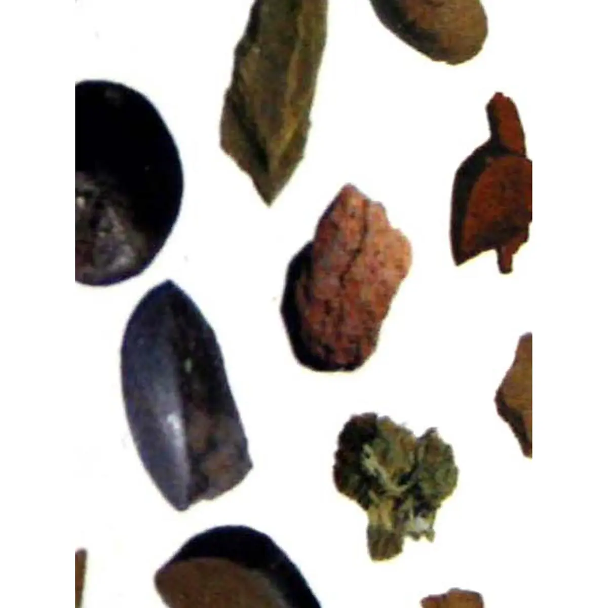 Headcase boîte rochers hash