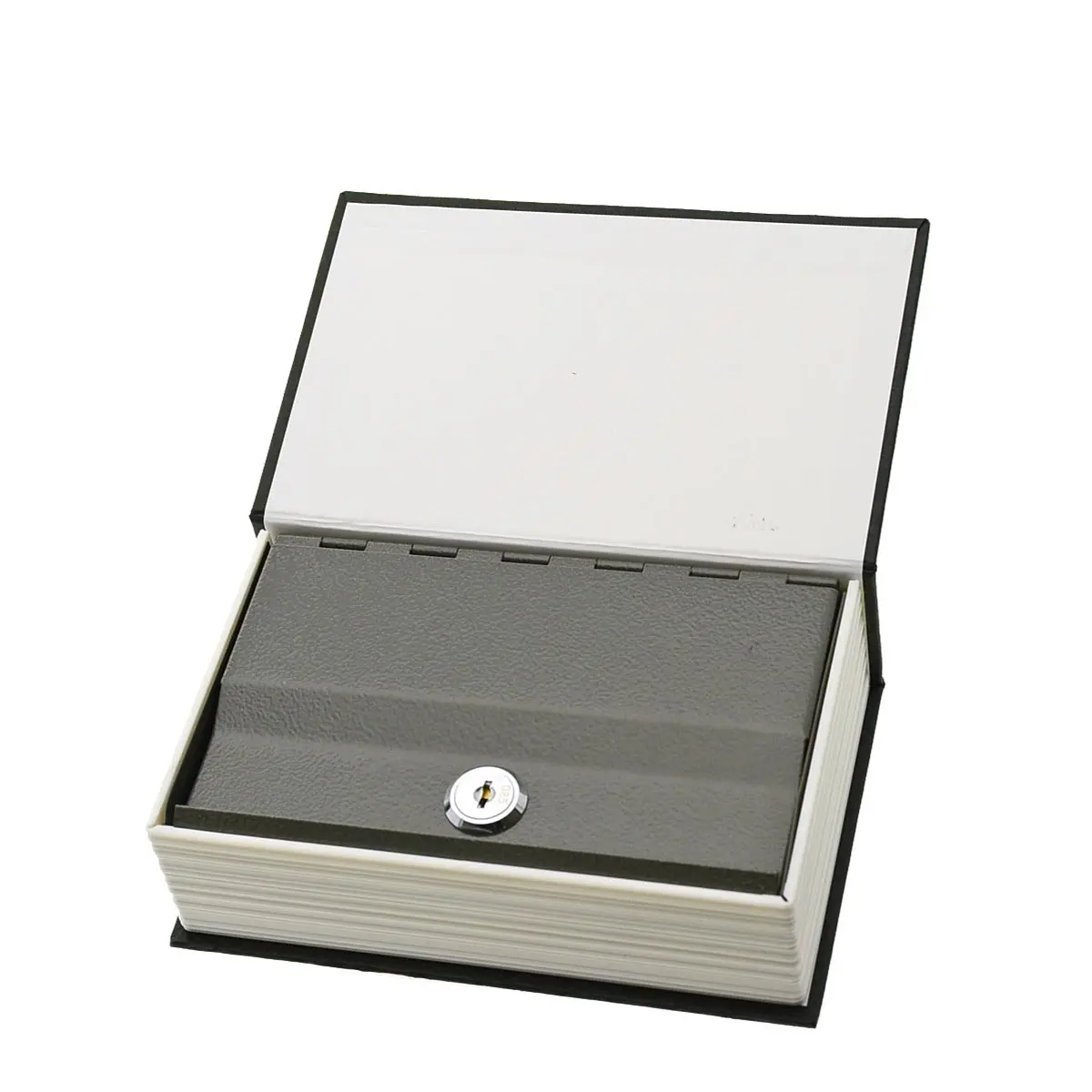 Cachette livre creux "Dictionary"