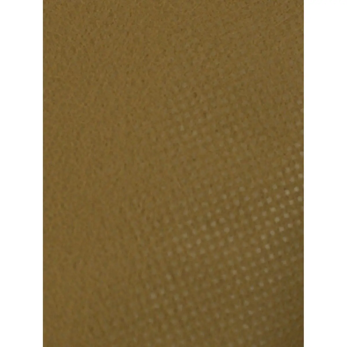 Toison de protection hivernale - 5 x 1,5 m, 30g/m²