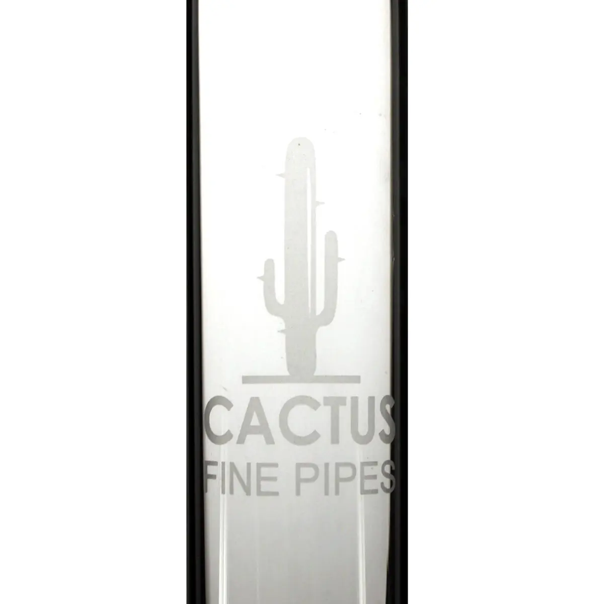 Bang cactus 46cm