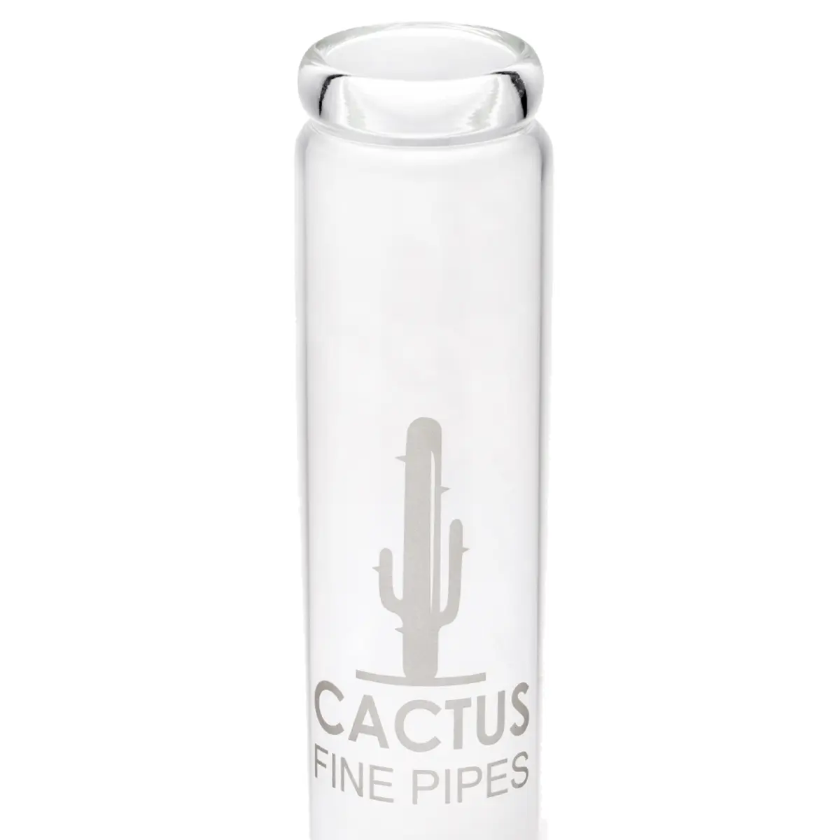 Cactus Bang en verre fiole Erlen 44cm