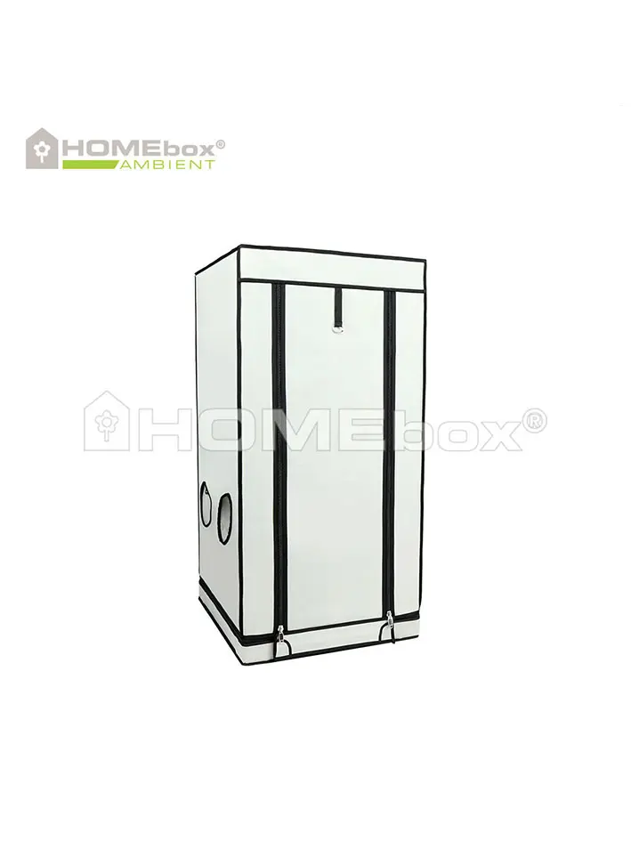 HOMEbox Ambient Q60+