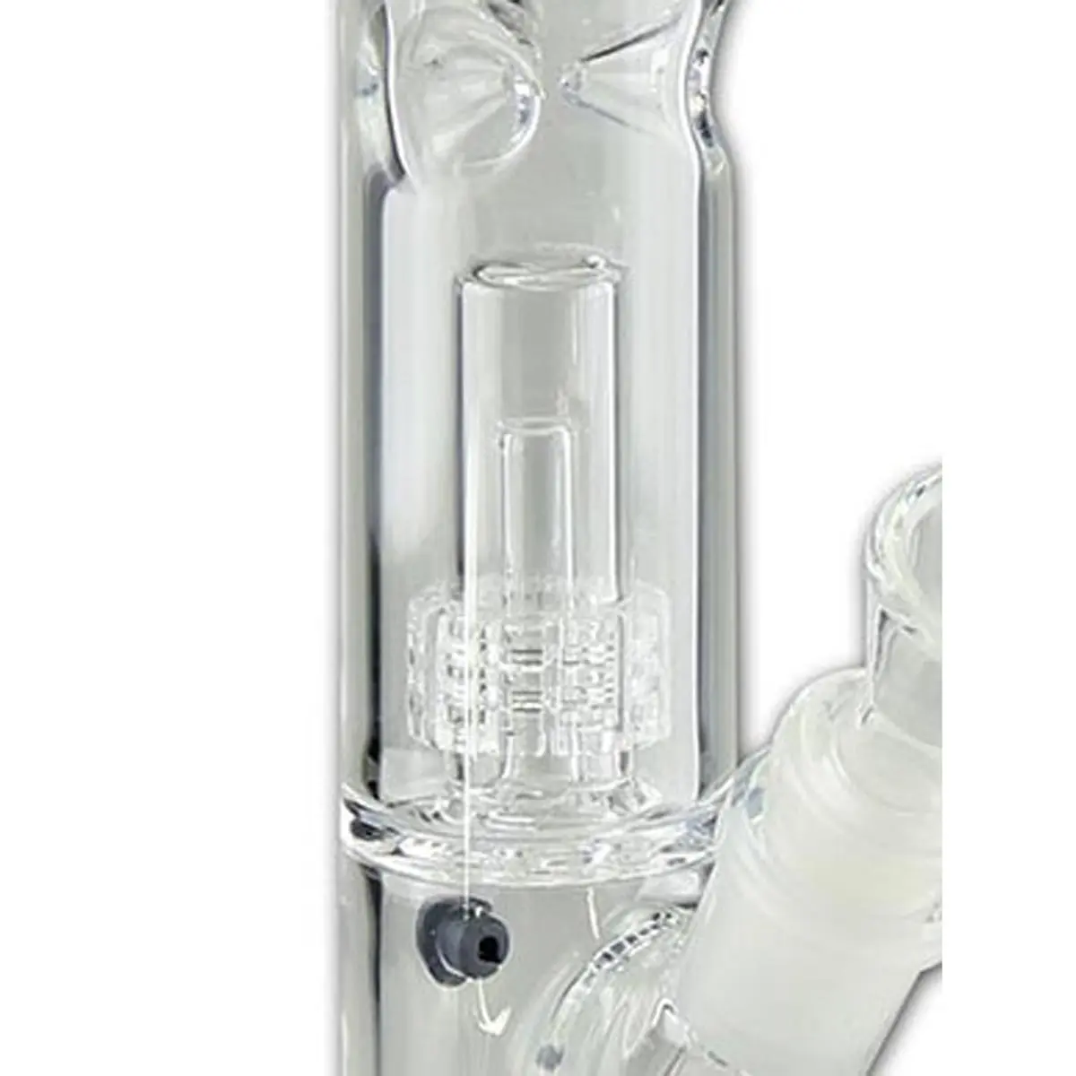 Bang de glace Black Leaf 'Drumperc' 30cm