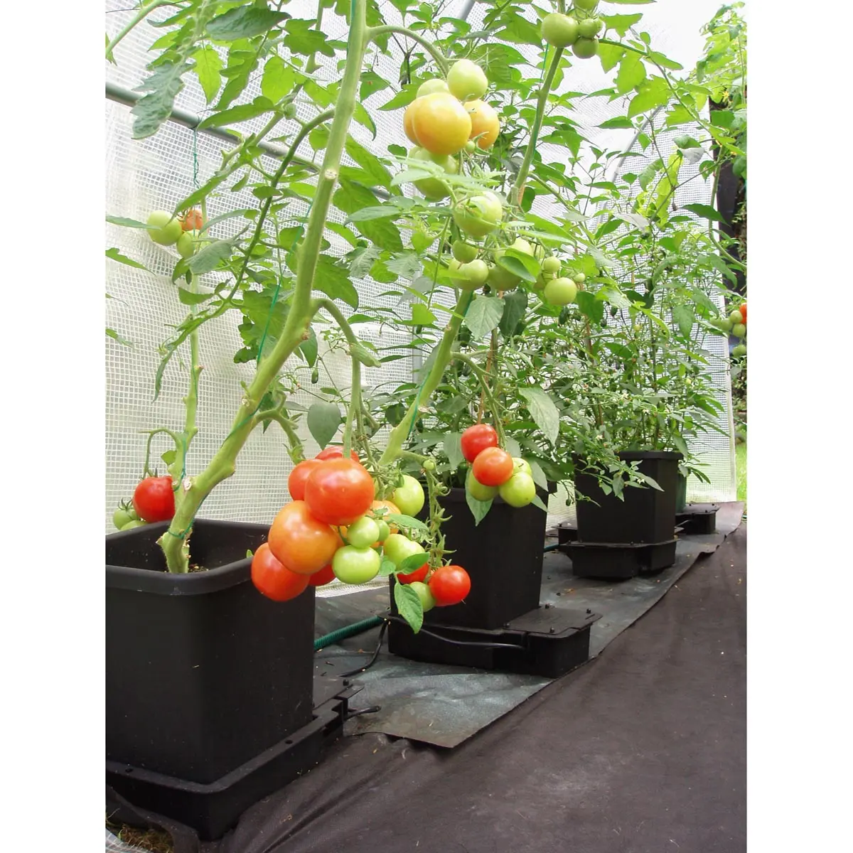 AutoPot 1Pot kit d'extension modulaire