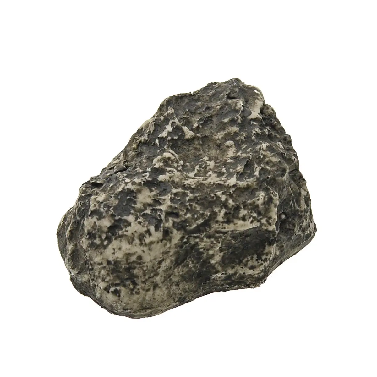 Pierre camouflage - petite