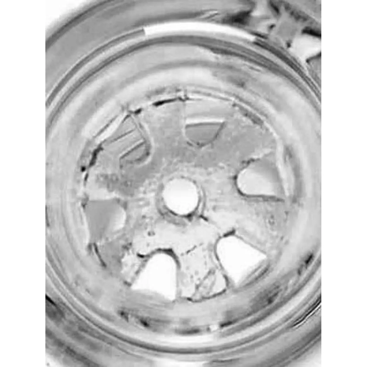 Bol Jelly Joker avec tamis 18,8