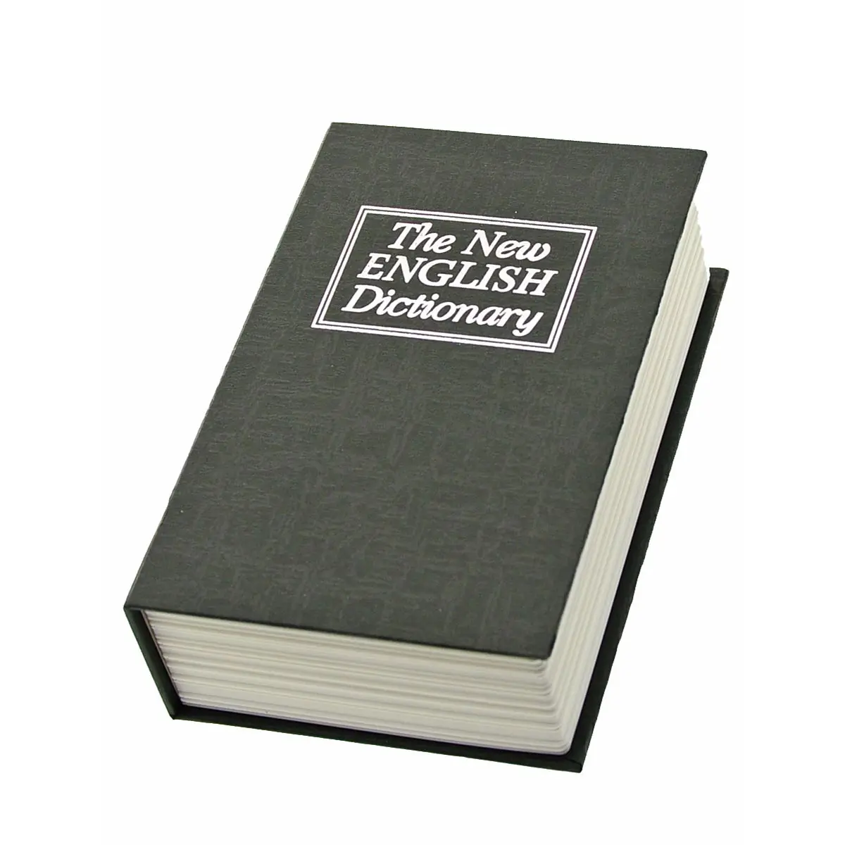 Cachette livre creux "Dictionary"