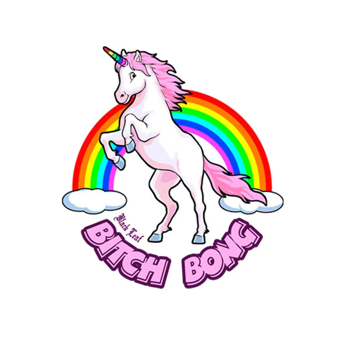 Bong en boîte 'Bitch Bong' de Black Leaf avec pré-refroidisseur