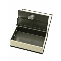 Cachette livre creux "Dictionary"