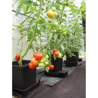 AutoPot 1Pot kit dextension modulaire