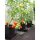 AutoPot 1Pot kit dextension modulaire