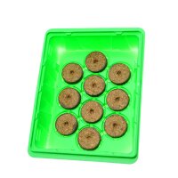 Mini-serre "Emily" (20 x 16 x 14 cm) + 10 Pastilles de coco & Plantoir gratuit