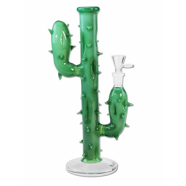Bang Cactus