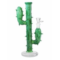 Bang Cactus