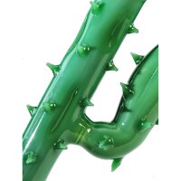 Bang Cactus