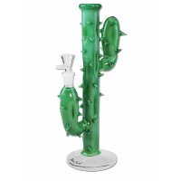 Bang Cactus
