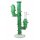 Bang Cactus