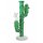 Bang Cactus