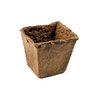 Pots biodégradables, carrés, 8 x 8 cm, 12 pièces