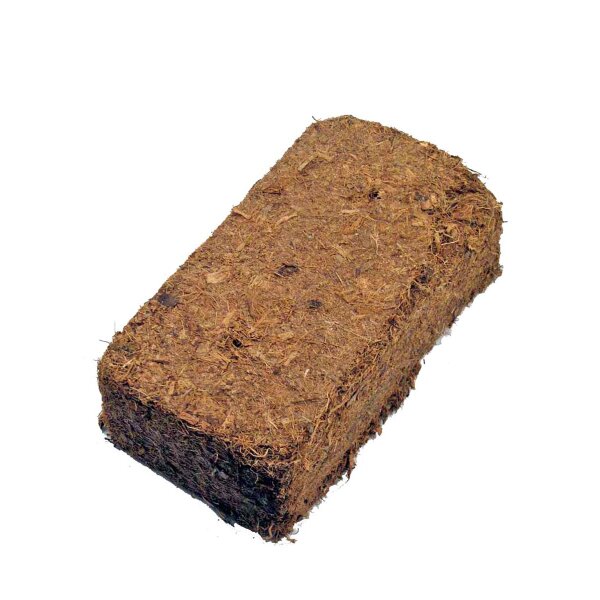 Coco Brik