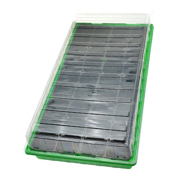 Mini-serre "Walter" (54 x 28 x 12 cm) + 36 Pots en plastique (6 x 6 cm)