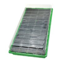 Mini-serre "Walter" (54 x 28 x 12 cm) + 36 Pots...