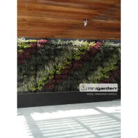 Minigarden Vertical - différentes couleurs