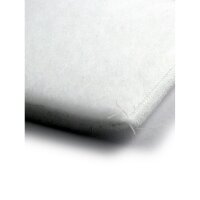 CarbonActive pré-filtre pour HomeLine 300Z / 300G 300m³/h