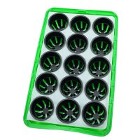 Mini serre "James" (36 x 22 x 13 cm) + plaque de culture + 15 Pots en plastique (6 cm Ø)