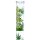 Bong Arbre de Vie en Verre Leaf Jhari - 45cm